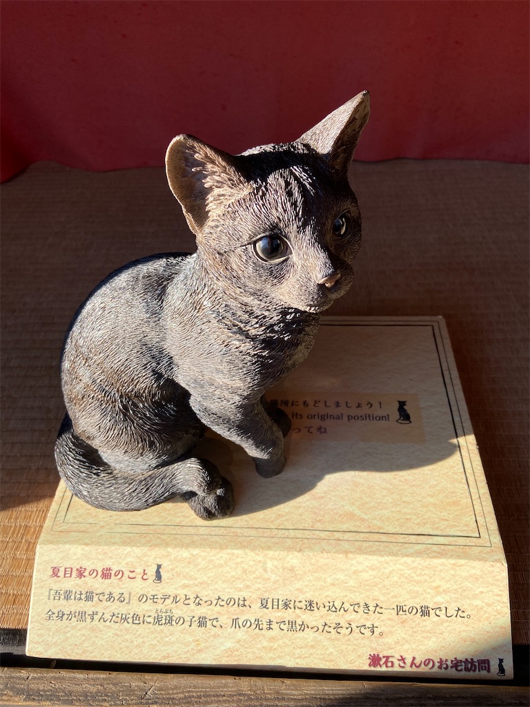 f:id:missa_mizuno2019:20200112173831j:image f:id:missa_mizuno2019:20200112173831j:image