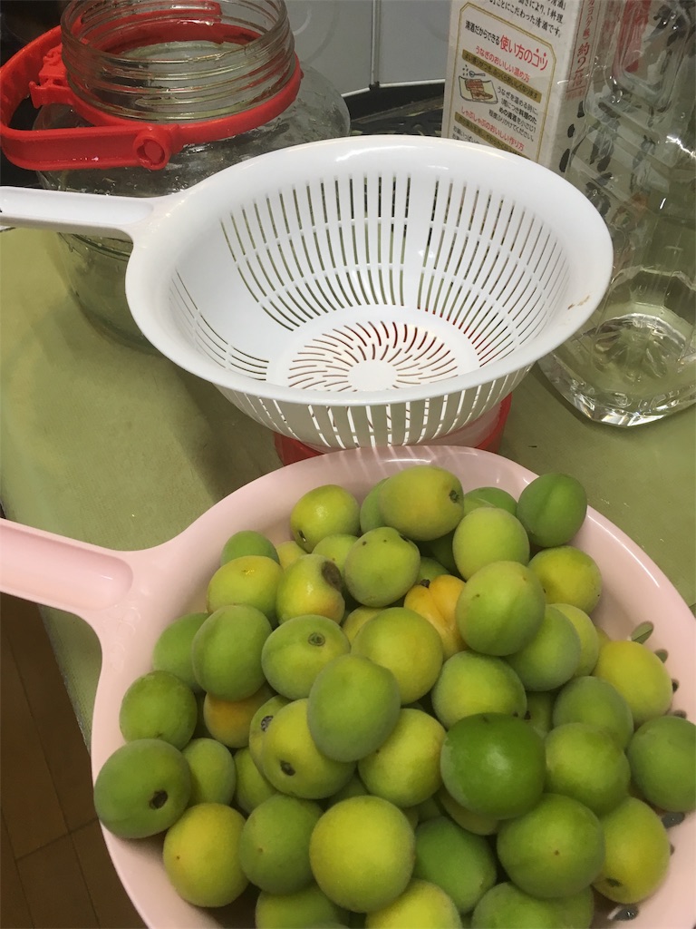 f:id:mission_blue_japan:20190618084546j:image