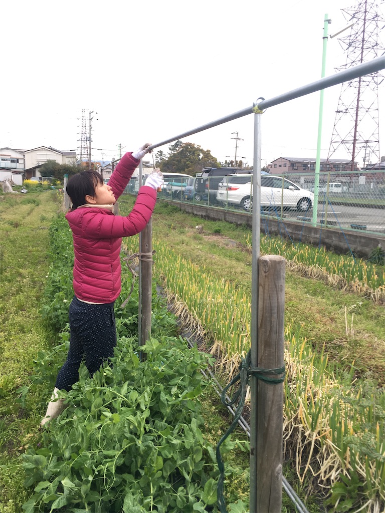 f:id:mission_blue_japan:20200415220358j:image