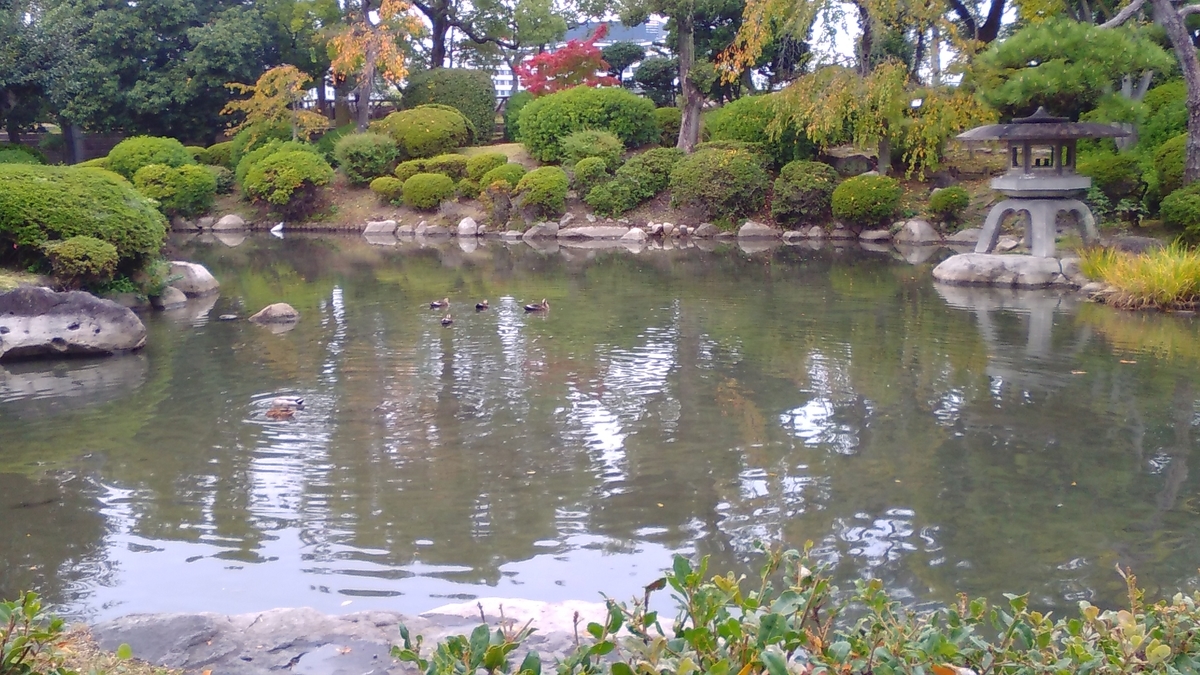 f:id:misslemoco:20201107213857j:plain f:id:misslemoco:20201107213857j:plain