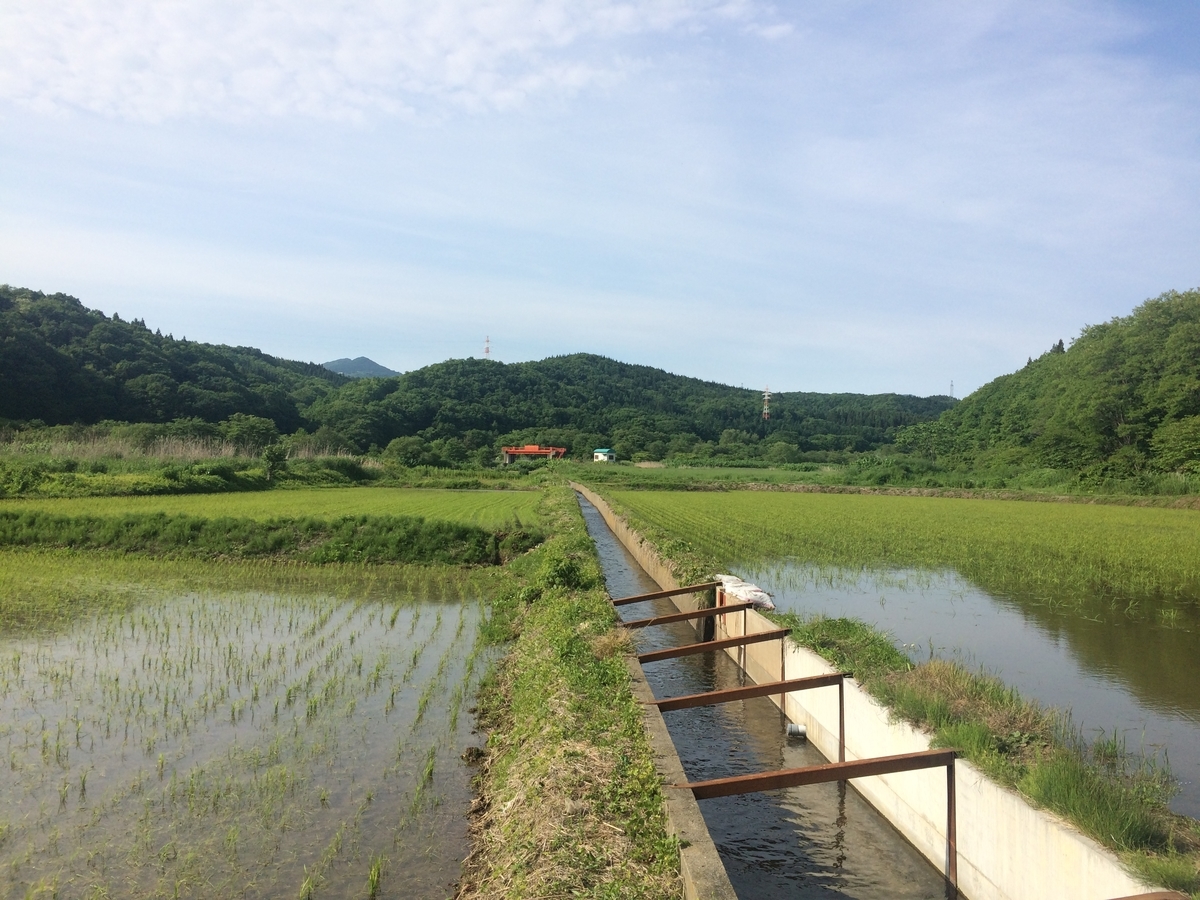 f:id:missyman:20180618154603j:plain f:id:missyman:20180618154603j:plain