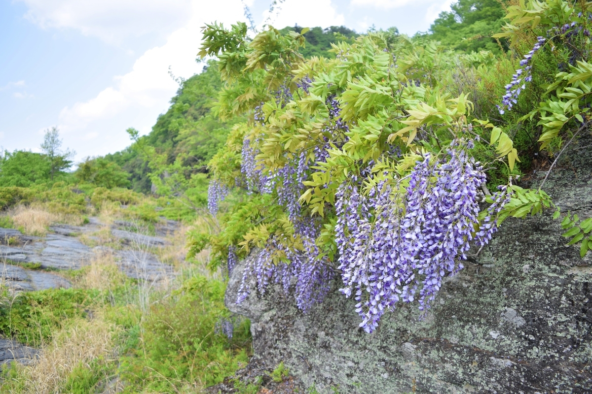 f:id:mist204:20190506220457j:plain f:id:mist204:20190506220457j:plain