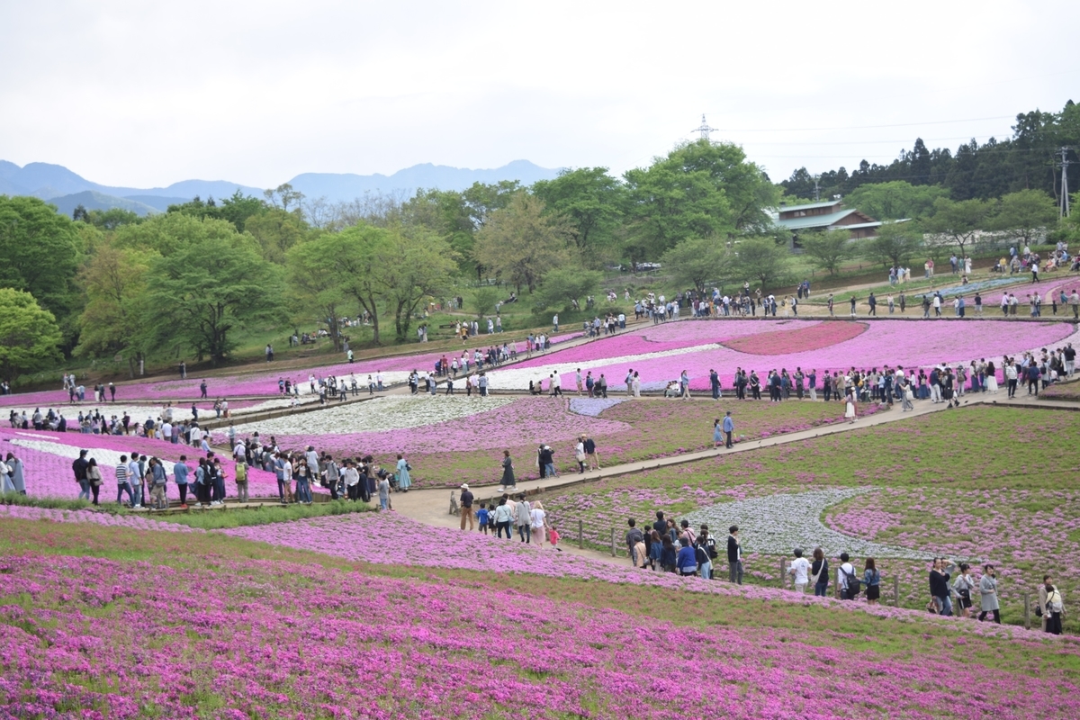 f:id:mist204:20190506221315j:plain f:id:mist204:20190506221315j:plain