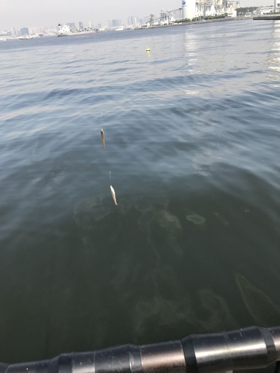 f:id:mist204:20190511210130j:plain