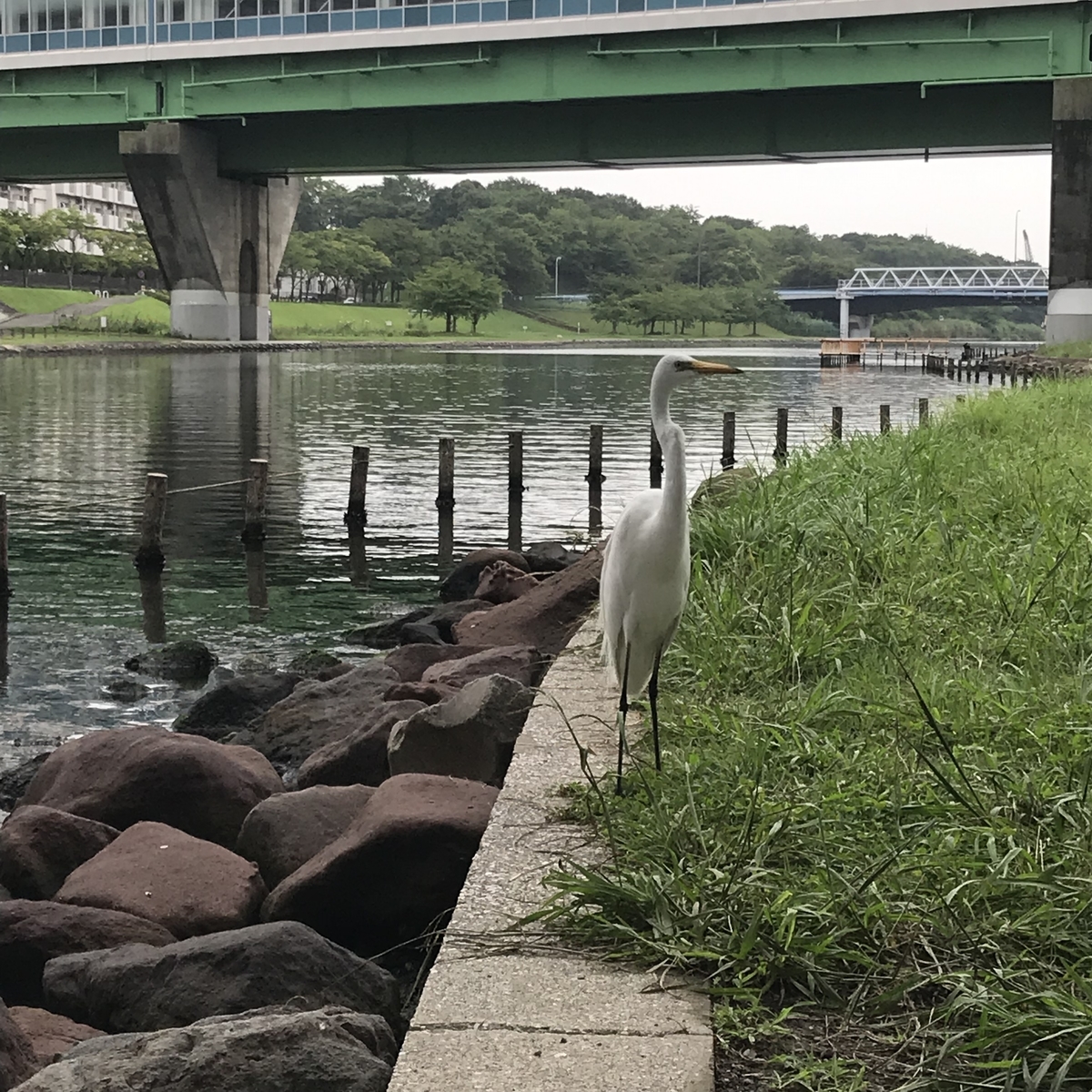 f:id:mist204:20190724235825j:plain f:id:mist204:20190724235825j:plain