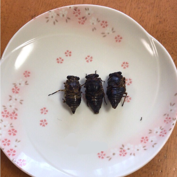 f:id:mist204:20190816222756j:plain f:id:mist204:20190816222756j:plain