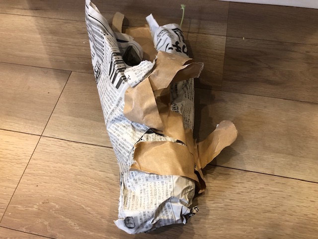 とうとう未発根のベアルート株を購入してしまいました。購入した