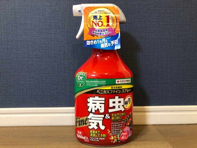 速達！！赤肌　グラキリス　ベアルート　状態良好 ザ・ファームセレクト][送料無料]パキポディウム：グラキリス