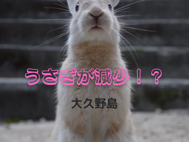 大久野島のうさぎが減少 実際に行って 以前の様子と比べてみました うさぎが減った原因は 住のもの すのもの