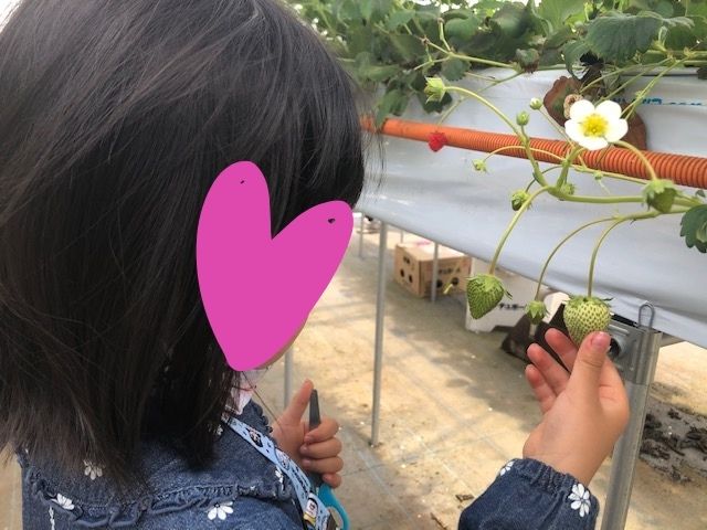 f:id:mister19:20220417234906j:plain