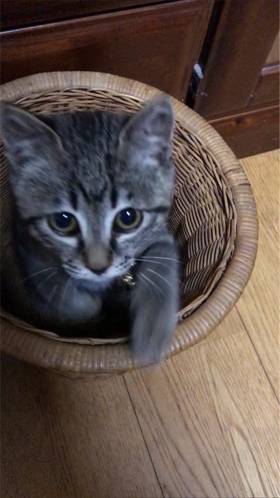 f:id:mister3bogey:20180318073002p:image f:id:mister3bogey:20180318073002p:image