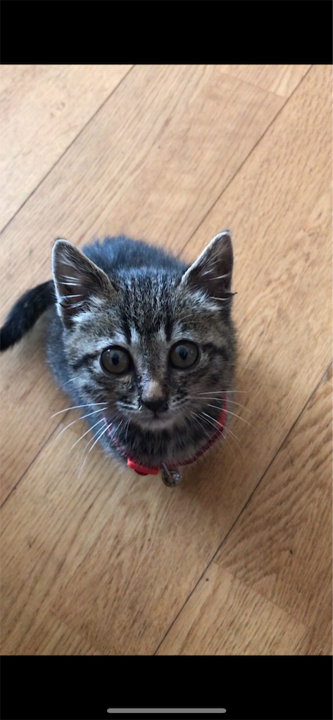 f:id:mister3bogey:20190905162404p:image f:id:mister3bogey:20190905162404p:image