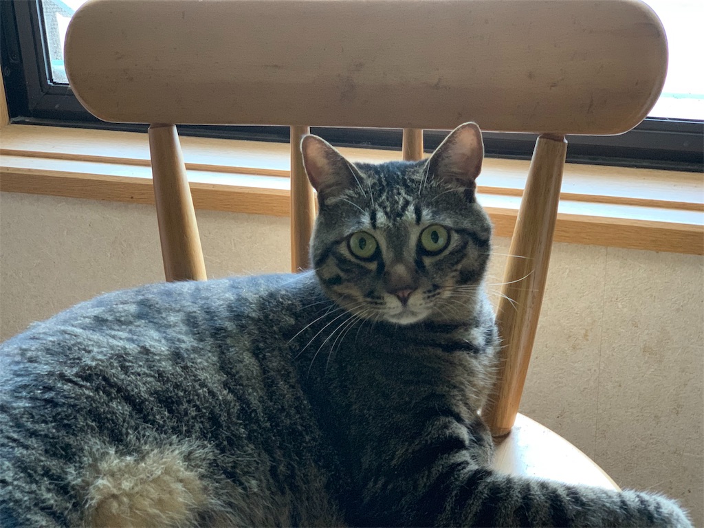 f:id:mister3bogey:20190905162444j:image f:id:mister3bogey:20190905162444j:image