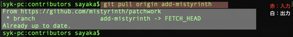 f:id:mistyrinth:20190117152904p:plain f:id:mistyrinth:20190117152904p:plain