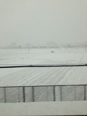 f:id:mistysonata:20181031175028j:plain f:id:mistysonata:20181031175028j:plain