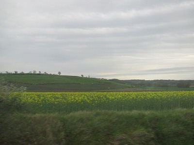 f:id:mistysonata:20181105054459j:plain f:id:mistysonata:20181105054459j:plain