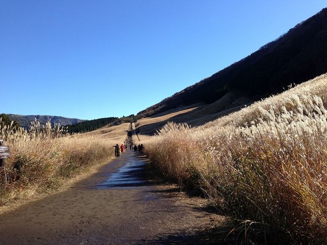 f:id:mistysonata:20181123073053j:plain