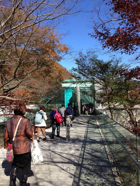 f:id:mistysonata:20181123073111j:plain