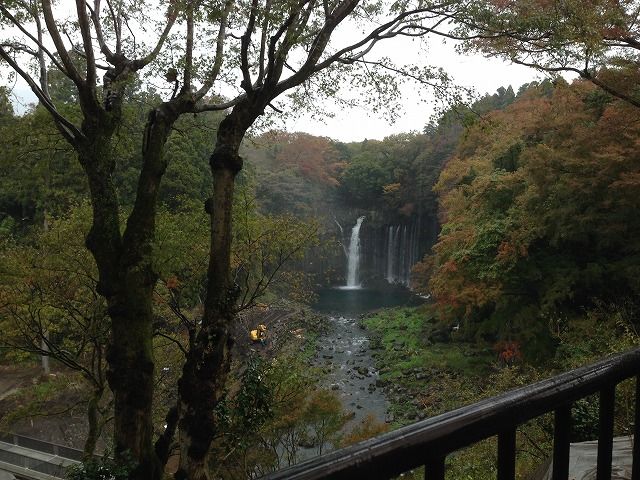 f:id:mistysonata:20181124064739j:plain f:id:mistysonata:20181124064739j:plain