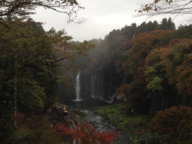 f:id:mistysonata:20181124064756j:plain f:id:mistysonata:20181124064756j:plain