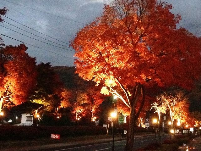 f:id:mistysonata:20181124065336j:plain f:id:mistysonata:20181124065336j:plain