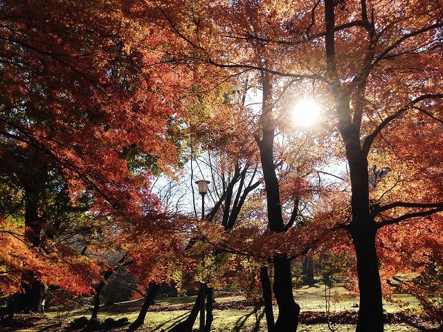 f:id:mistysonata:20181124070227j:plain f:id:mistysonata:20181124070227j:plain