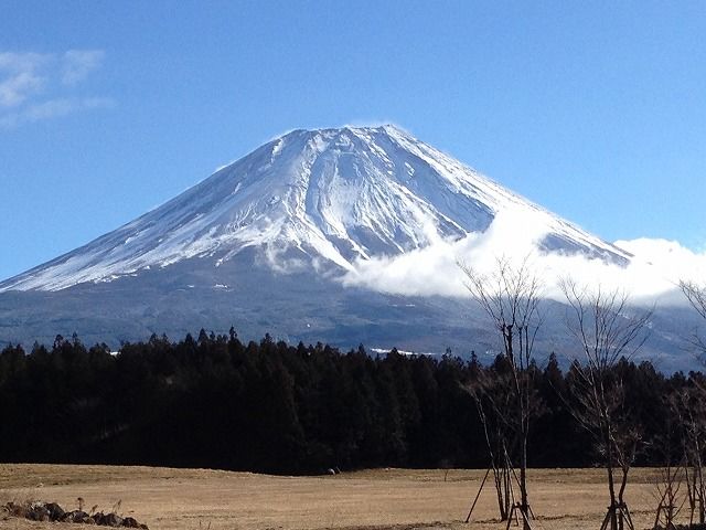 f:id:mistysonata:20181124183856j:plain