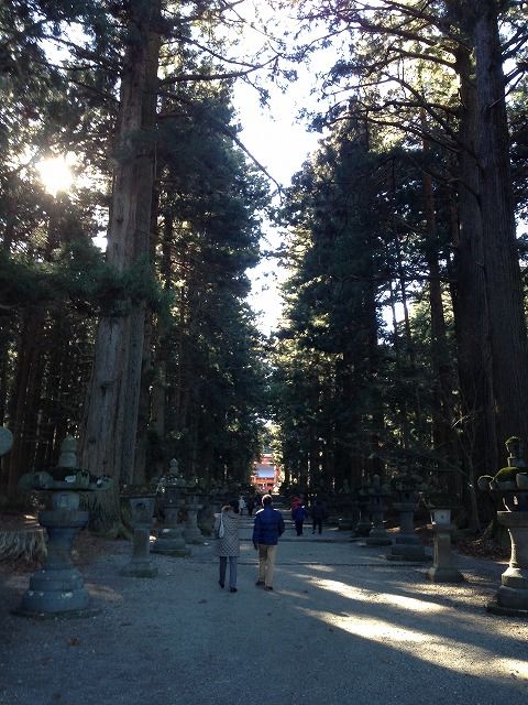 f:id:mistysonata:20181124184314j:plain