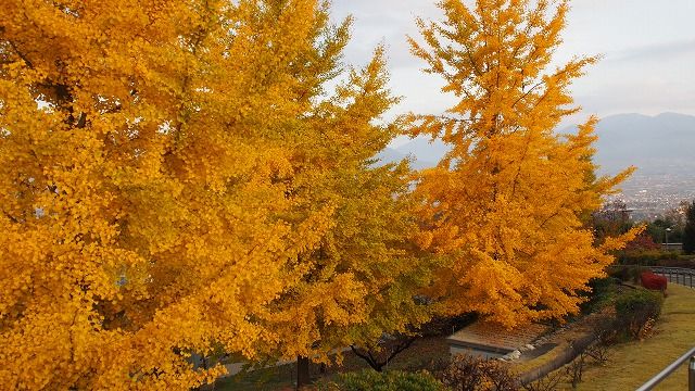 f:id:mistysonata:20181130061957j:plain f:id:mistysonata:20181130061957j:plain