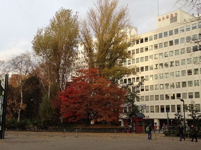 f:id:mistysonata:20181201094354j:plain