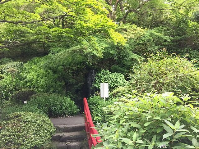 f:id:mistysonata:20181201174703j:plain f:id:mistysonata:20181201174703j:plain