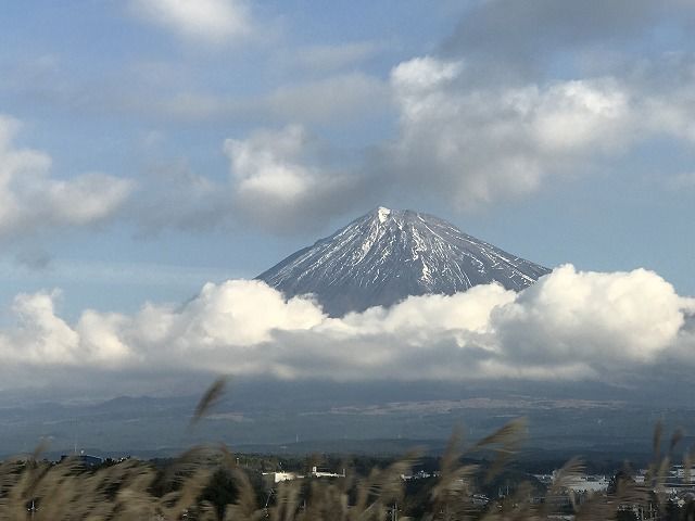 f:id:mistysonata:20181201175855j:plain