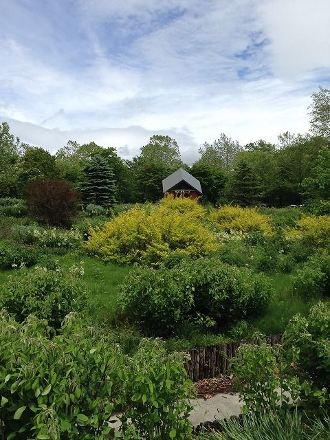 f:id:mistysonata:20181204205202j:plain