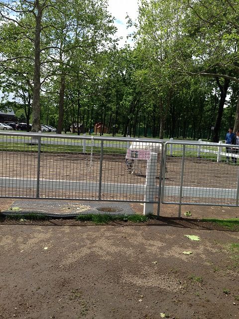 f:id:mistysonata:20181204205211j:plain