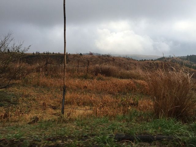 f:id:mistysonata:20181222182119j:plain