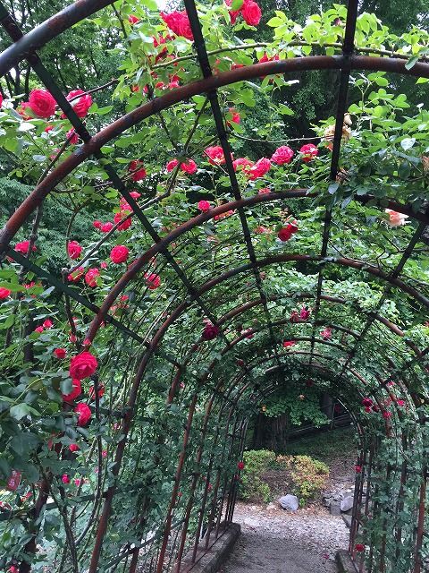 f:id:mistysonata:20181225184530j:plain