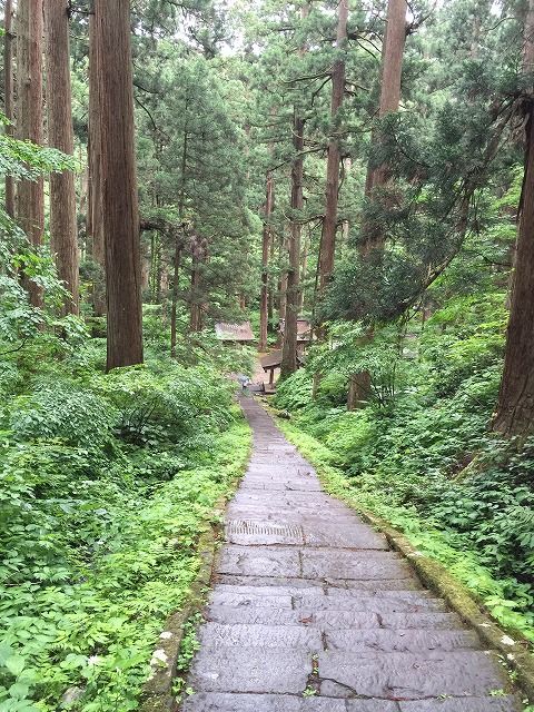 f:id:mistysonata:20181225185511j:plain