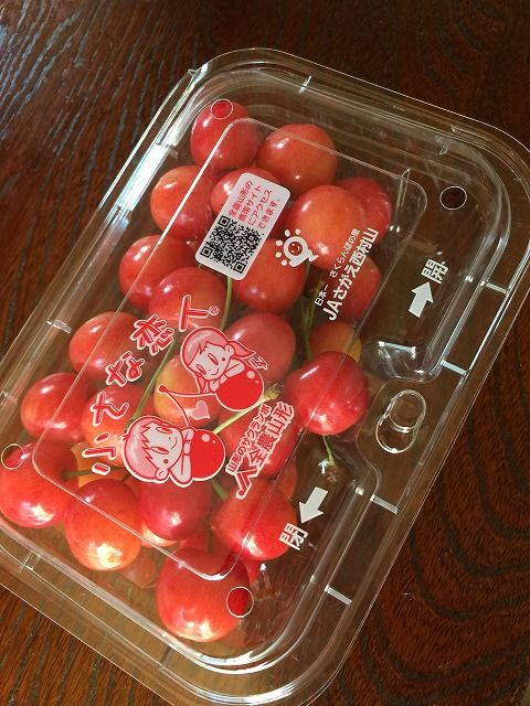 f:id:mistysonata:20181225185757j:plain