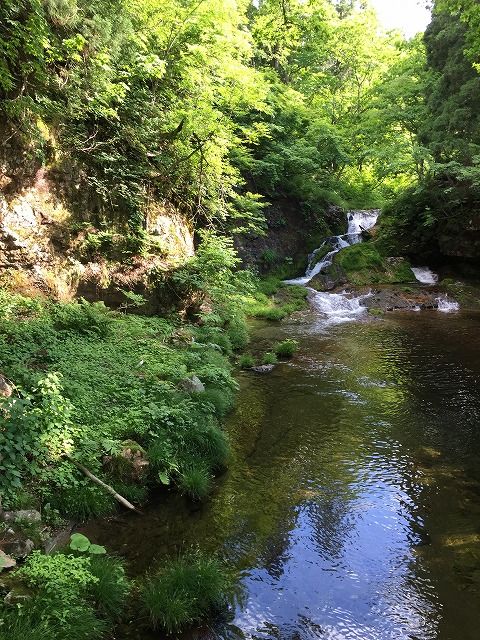 f:id:mistysonata:20181225190503j:plain