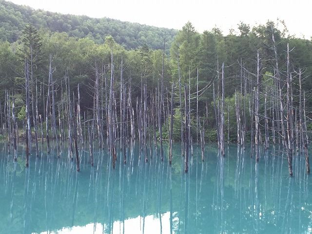 f:id:mistysonata:20181228182555j:plain