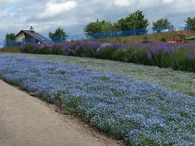 f:id:mistysonata:20181228182743j:plain