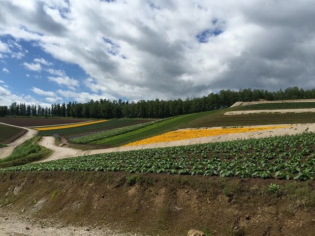 f:id:mistysonata:20181228182752j:plain