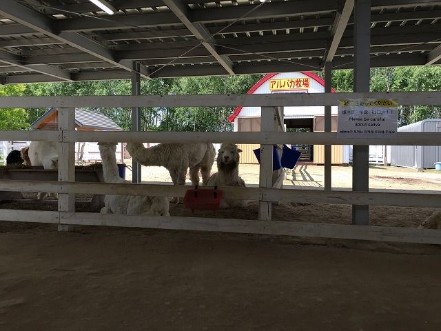 f:id:mistysonata:20181228182802j:plain