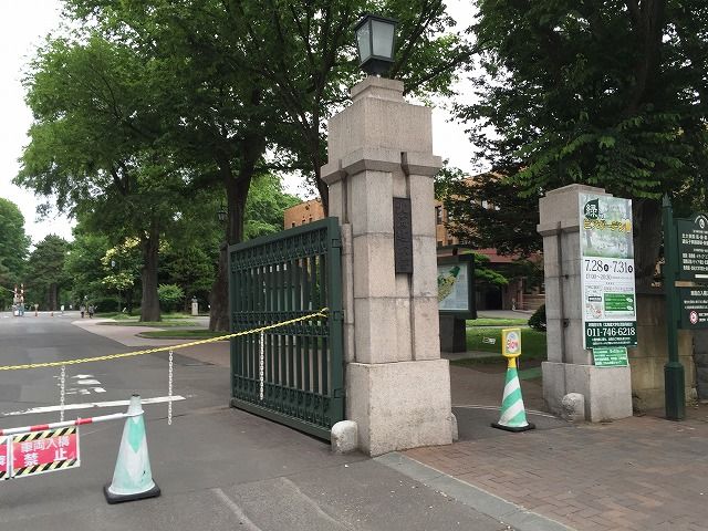 f:id:mistysonata:20181228184750j:plain