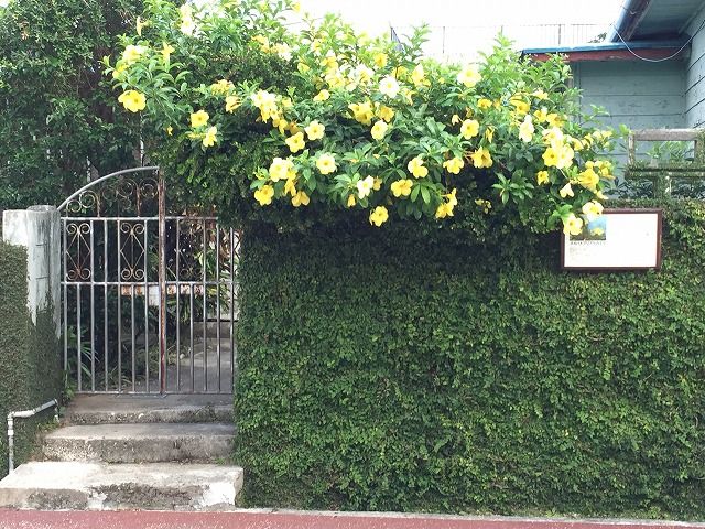 f:id:mistysonata:20181229123041j:plain