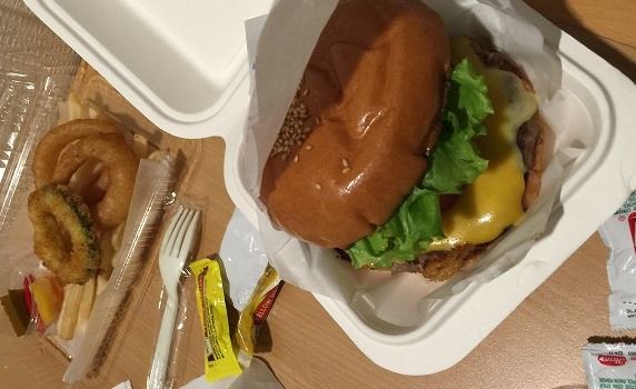 f:id:mistysonata:20181229123250j:plain