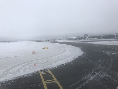 f:id:mistysonata:20190203185856j:plain f:id:mistysonata:20190203185856j:plain