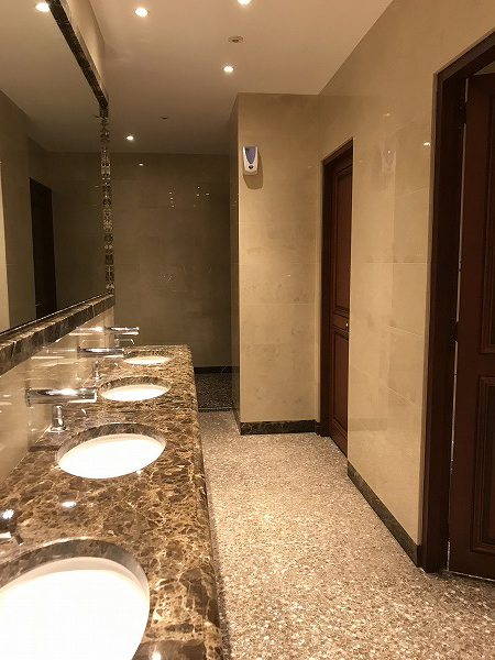 f:id:mistysonata:20190216191958j:plain