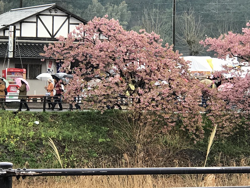 f:id:mistysonata:20190305203224j:plain f:id:mistysonata:20190305203224j:plain