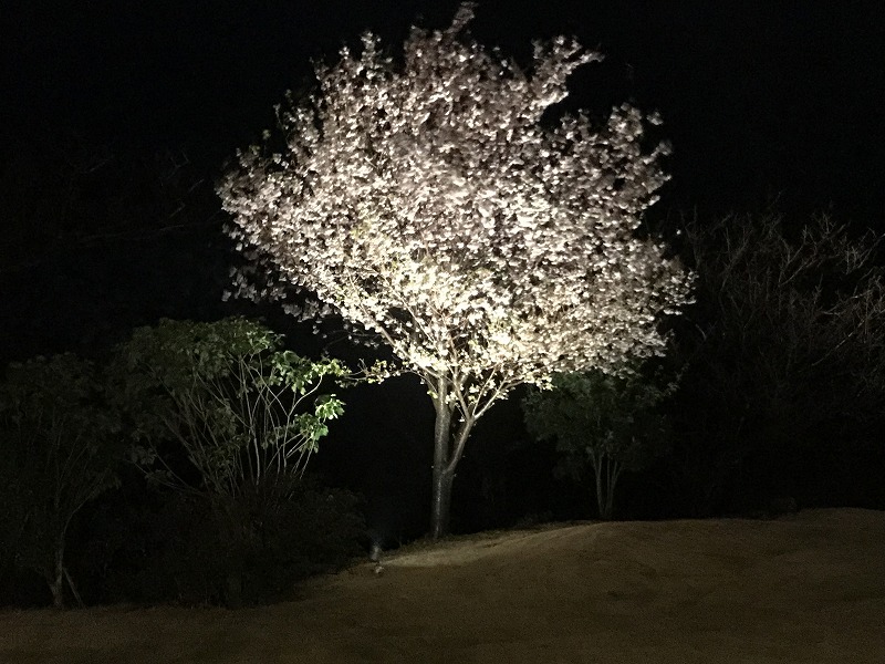 f:id:mistysonata:20190308052045j:plain f:id:mistysonata:20190308052045j:plain